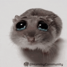 Hör Auf GIF