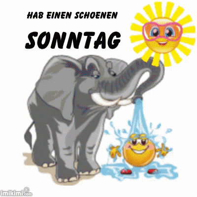Hab Einen Schönen Sonntag GIF
