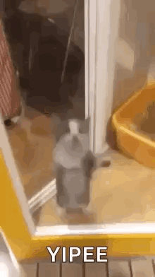 Hai GIF