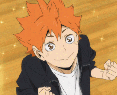Haikyuu Hinata Shouyou GIF