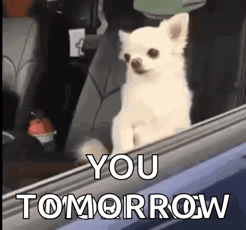 Haim Haimbs3 GIF