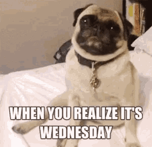 Half Price Upgrades Bronze Body Tanning GIF