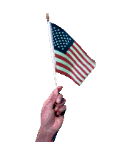 Halive2022 American Flag Sticker