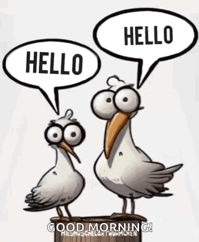 Hallo Moin GIF