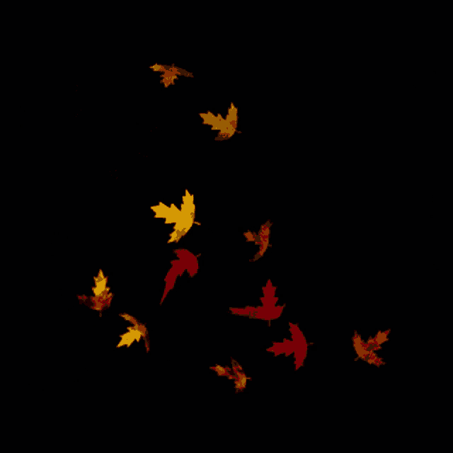 Halloween Wallpaper GIF