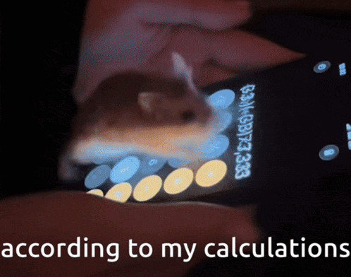 Hamster Calculating GIF