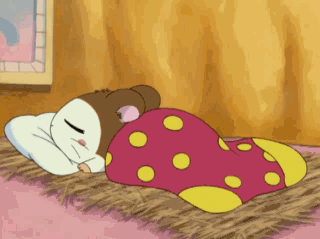 Hamtaro GIF