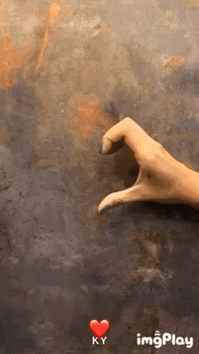 Hands Heart GIF