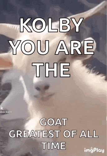Handsome Goat GIF