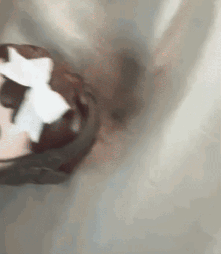 Hannigram Hannibal GIF