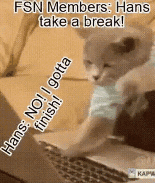 Hans Master Coder Hans Fsn GIF