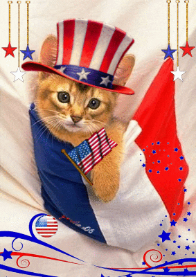 Happy 4th Of July GIF