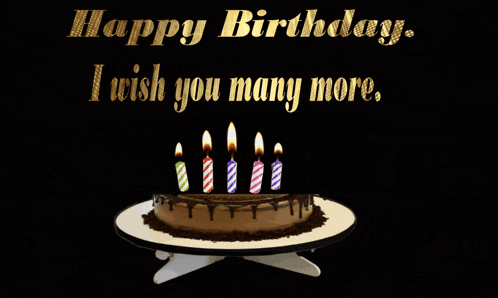 Happy Birthday Birthday Greetings GIF