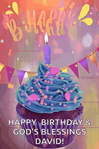 Happy Birthday Birthday Wishes GIF