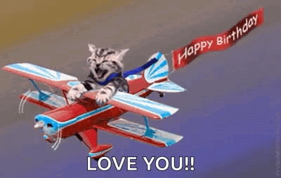 Happy Birthday Cat GIF