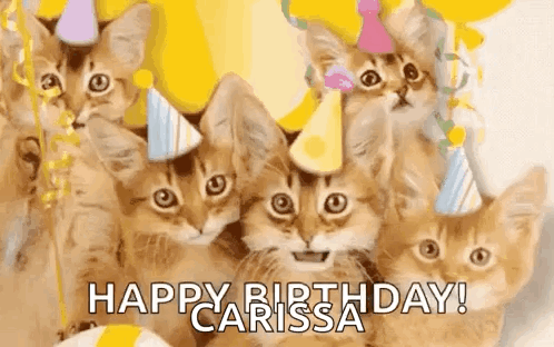 Happy Birthday Cat GIF