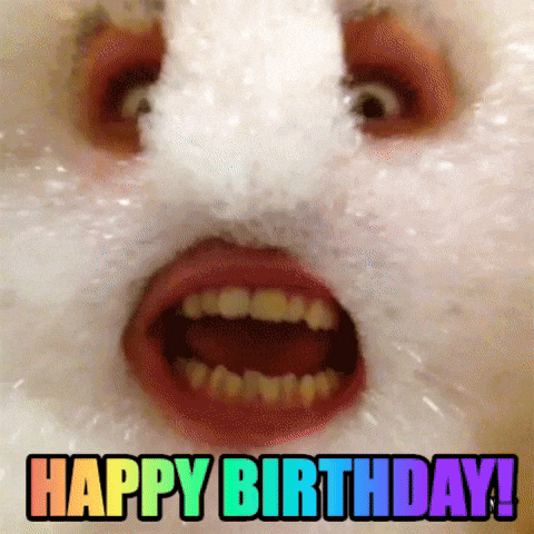 Happy Birthday Crazy Happy Birthday GIF