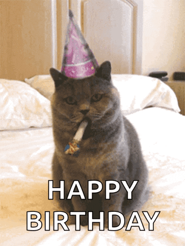 Happy Birthday GIF