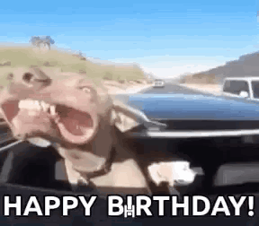 Happy Birthday Dog GIF