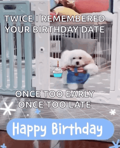 Happy Birthday Dog GIF