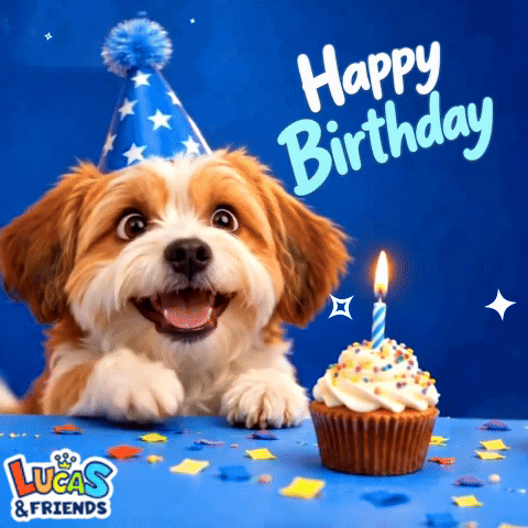 Happy Birthday Happy Birthday Dog GIF