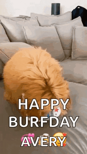 Happy Birthday Happy GIF