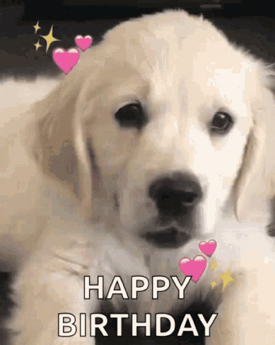 Happy Birthday Hearts GIF