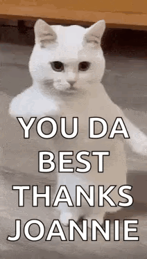 Happy Birthday GIF