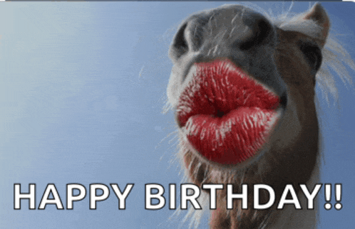 Happy Birthday Meme