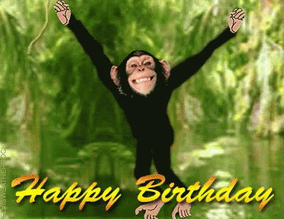 Happy Birthday Monkey GIF