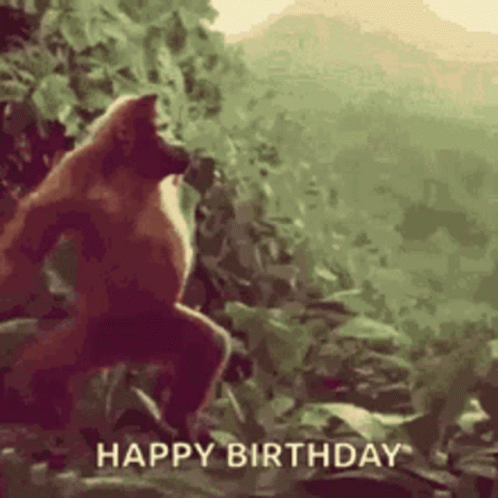 Happy Birthday Monkey GIF