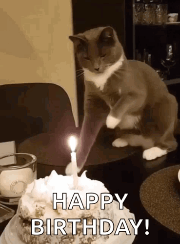 Happy Birthday GIF