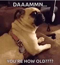 Happy Birthday GIF