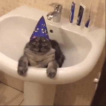 Happy Birthday Wishes GIF