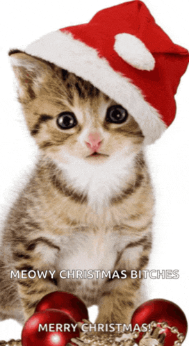 Happy Christmas Meme