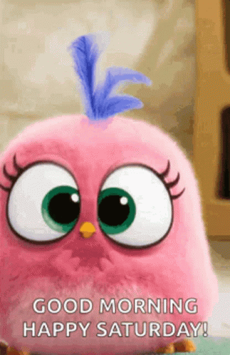 Happy Day GIF