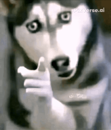 Happy Dog GIF