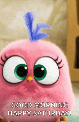 Happy Excited GIF