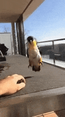Happy Excited GIF