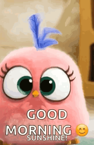Happy Excited GIF