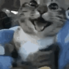 Happy GIF