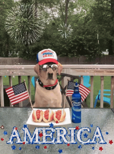 Happy Fourth Of July Fireworks GIF