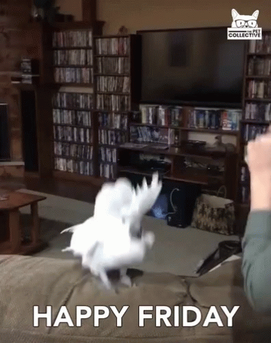 Happy Friday Excited GIF