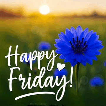 Happy Friday Images Meme
