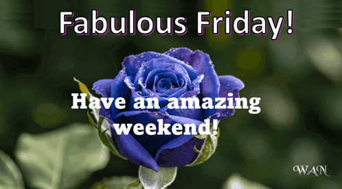 Happy Friday Wnowlin GIF