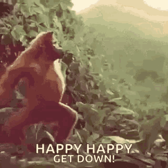 Happy Happy Get Down Happy Birthday GIF