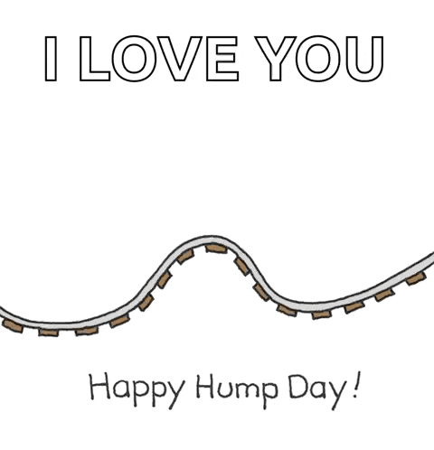 Happy Hump Day Gif GIF