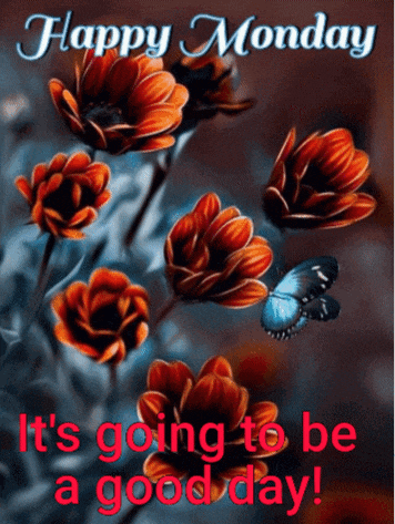 Happy Monday GIF