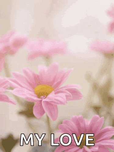 Happy Mothers Day Happy Mothers Day2022 GIF