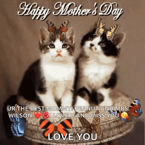 Happy Mothers Day Mums Day GIF